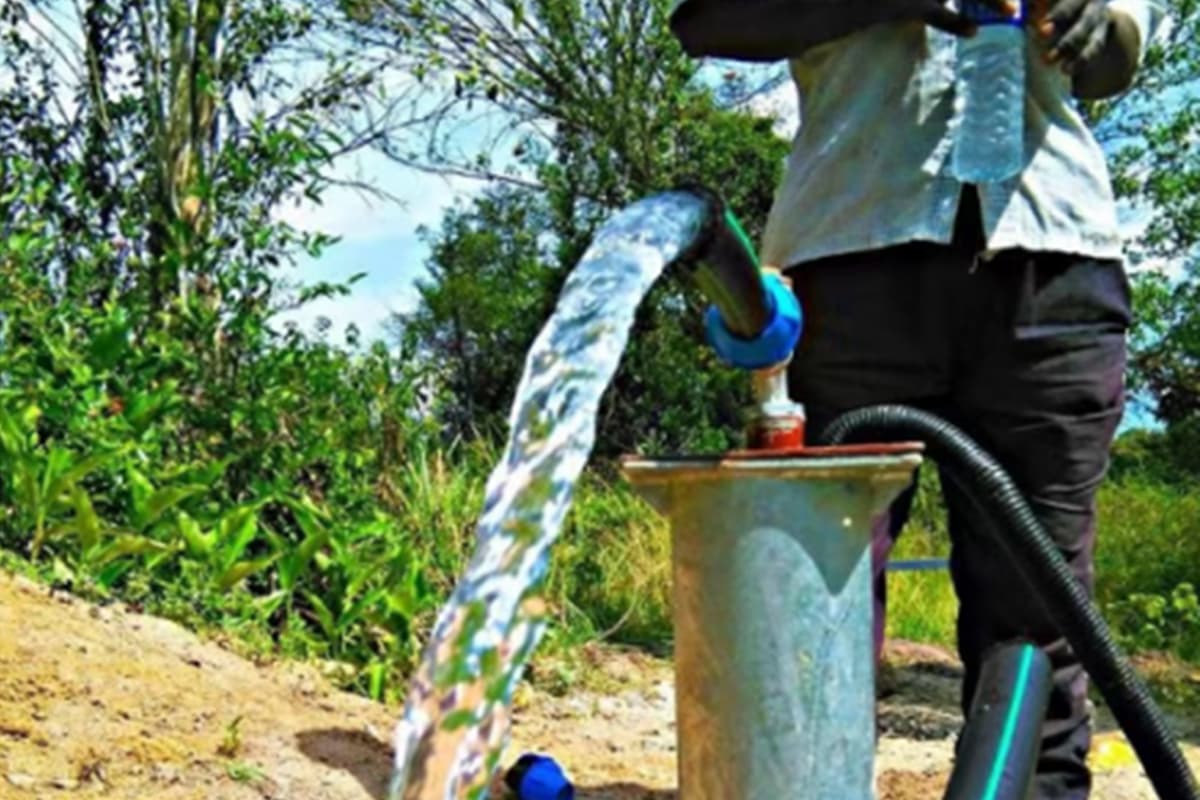 Livoltek Pump